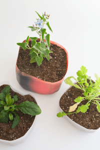 Diy Upcycled Milk Jug Planters Cupcakes And Cutlery