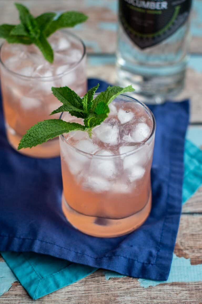 26 Refreshing Summer Vodka Cocktails Cupcakes and Cutlery