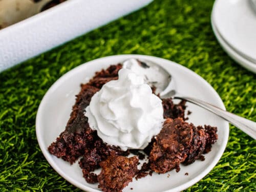 Chocolate Cherry Dump Cake - Meatloaf and Melodrama