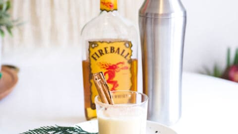 Fireball Eggnog - Shake Drink Repeat