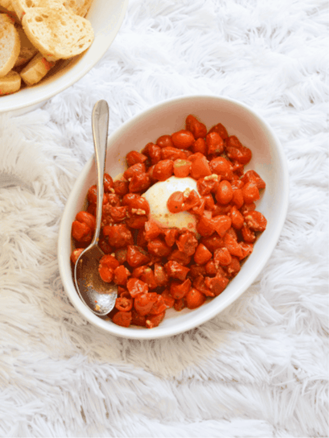 Easy Burrata Appetizer With Garlicky Cherry Tomatoes Story Cupcakes   Easy Burrata Appetizer With Garlicky Cherry Tomatoes Cover Image 